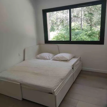 Villa Maison Neuve Classee 3 Etoiles Entre Ocean Et Foret *