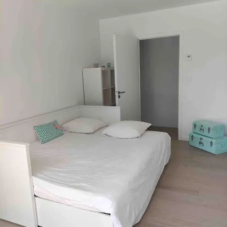 Maison Neuve Classee 3 Etoiles Entre Ocean Et Foret * Labenne